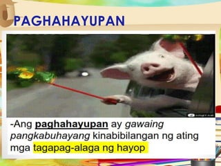 PAGHAHAYUPAN
 