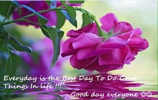 Everyday is the Best Day To Do Good
Things In life !!!
Good day everyone 
 