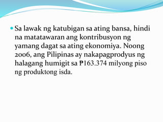  Sa lawak ng katubigan sa ating bansa, hindi
na matatawaran ang kontribusyon ng
yamang dagat sa ating ekonomiya. Noong
2006, ang Pilipinas ay nakapagprodyus ng
halagang humigit sa ₱163.374 milyong piso
ng produktong isda.
 
