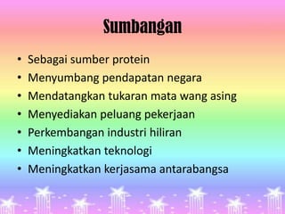 Sumbangan
•   Sebagai sumber protein
•   Menyumbang pendapatan negara
•   Mendatangkan tukaran mata wang asing
•   Menyediakan peluang pekerjaan
•   Perkembangan industri hiliran
•   Meningkatkan teknologi
•   Meningkatkan kerjasama antarabangsa
 