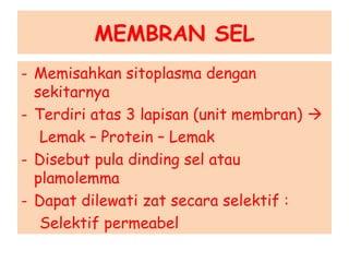 MEMBRAN SEL
- Memisahkan sitoplasma dengan
sekitarnya
- Terdiri atas 3 lapisan (unit membran) 
Lemak – Protein – Lemak
- Disebut pula dinding sel atau
plamolemma
- Dapat dilewati zat secara selektif :
Selektif permeabel
 