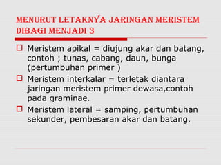 MENuRuT LETAKNyA jARINGAN MERISTEM
DIBAGI MENjADI 3
 Meristem apikal = diujung akar dan batang,
  contoh ; tunas, cabang, daun, bunga
  (pertumbuhan primer )
 Meristem interkalar = terletak diantara
  jaringan meristem primer dewasa,contoh
  pada graminae.
 Meristem lateral = samping, pertumbuhan
  sekunder, pembesaran akar dan batang.
 