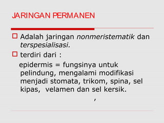 JARINGAN PERMANEN

 Adalah jaringan nonmeristematik dan
  terspesialisasi.
 terdiri dari :
 epidermis = fungsinya untuk
  pelindung, mengalami modifikasi
  menjadi stomata, trikom, spina, sel
  kipas, velamen dan sel kersik.
                       ,
 