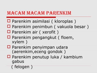 MACAM MACAM PARENKIM
 Parenkim asimilasi ( kloroplas )
 Parenkim penimbun ( vakuola besar )
 Parenkim air ( xerofit )
 Parenkim pengangkut ( floem,
  xylem )
 Parenkim penyimpan udara
  (aerenkim,eceng gondok )
 Parenkim penutup luka / kambium
  gabus
 ( felogen )
 