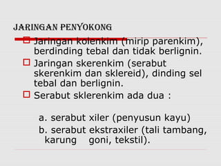jARINGAN PENyOKONG
   Jaringan kolenkim (mirip parenkim),
    berdinding tebal dan tidak berlignin.
   Jaringan skerenkim (serabut
    skerenkim dan sklereid), dinding sel
    tebal dan berlignin.
   Serabut sklerenkim ada dua :

     a. serabut xiler (penyusun kayu)
     b. serabut ekstraxiler (tali tambang,
      karung goni, tekstil).
 