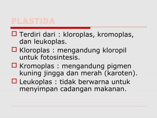 PLASTIDA
 Terdiri dari : kloroplas, kromoplas,
  dan leukoplas.
 Kloroplas : mengandung kloropil
  untuk fotosintesis.
 Kromoplas : mengandung pigmen
  kuning jingga dan merah (karoten).
 Leukoplas : tidak berwarna untuk
  menyimpan cadangan makanan.
 