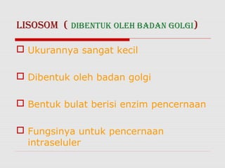 LISOSOM ( DIBENTuK OLEh BADAN GOLGI)

 Ukurannya sangat kecil

 Dibentuk oleh badan golgi

 Bentuk bulat berisi enzim pencernaan

 Fungsinya untuk pencernaan
  intraseluler
 