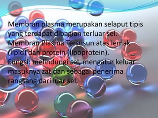 Membran plasma merupakan selaput tipis
yang terdapat dibagian terluar sel.
Membran Plasma Tersusun atas lemak
(lipid) dan protein (lipoprotein).
Fungsi: melindungi sel, mengatur keluar
masuknya zat dan sebagai penerima
rangsang dari luar sel.

 