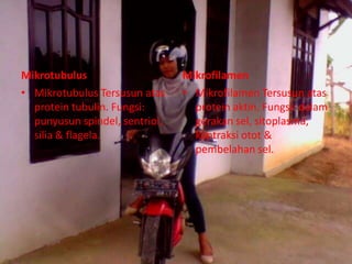 Mikrotubulus
• Mikrotubulus Tersusun atas
protein tubulin. Fungsi:
punyusun spindel, sentriol,
silia & flagela.

Mikrofilamen
• Mikrofilamen Tersusun atas
protein aktin. Fungsi: dalam
gerakan sel, sitoplasma,
kontraksi otot &
pembelahan sel.

 