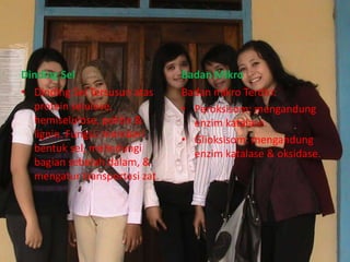 Dinding Sel
• Dinding Sel Tersusun atas
protein selulose,
hemiselulose, pektin &
lignin. Fungsi: memberi
bentuk sel, melindungi
bagian sebelah dalam, &
mengatur transportasi zat.

Badan Mikro
Badan mikro Terdiri:
• Peroksisom: mengandung
enzim katalase.
• Glioksisom: mengandung
enzim katalase & oksidase.

 