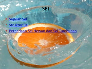 SEL
• Sejarah Sel
• Struktur Sel
• Perbedaan Sel Hewan dan Sel Tumbuhan

 