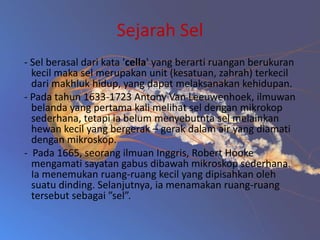 Sejarah Sel
- Sel berasal dari kata 'cella' yang berarti ruangan berukuran
kecil maka sel merupakan unit (kesatuan, zahrah) terkecil
dari makhluk hidup, yang dapat melaksanakan kehidupan.
- Pada tahun 1633-1723 Antony Van Leeuwenhoek, ilmuwan
belanda yang pertama kali melihat sel dengan mikrokop
sederhana, tetapi ia belum menyebutnta sel melainkan
hewan kecil yang bergerak – gerak dalam air yang diamati
dengan mikroskop.
- Pada 1665, seorang ilmuan Inggris, Robert Hooke
mengamati sayatan gabus dibawah mikroskop sederhana.
Ia menemukan ruang-ruang kecil yang dipisahkan oleh
suatu dinding. Selanjutnya, ia menamakan ruang-ruang
tersebut sebagai ”sel”.

 