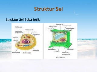 Struktur Sel
Struktur Sel Eukariotik

 