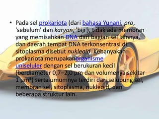 • Pada sel prokariota (dari bahasa Yunani, pro,
'sebelum' dan karyon, 'biji'), tidak ada membran
yang memisahkan DNA dari bagian sel lainnya,
dan daerah tempat DNA terkonsentrasi di
sitoplasma disebut nukleoid. Kebanyakan
prokariota merupakanorganisme
uniseluler dengan sel berukuran kecil
(berdiameter 0,7–2,0 µm dan volumenya sekitar
1 µm3) serta umumnya terdiri dari selubung sel,
membran sel, sitoplasma, nukleoid, dan
beberapa struktur lain.

 