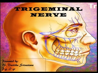 TRIGEMINAL
NERVE

1

 