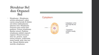 Struktur Sel 
dan Organel 
Sel 
• Sitoplasma : Sitoplasma 
artinya plasmasel, yakni 
cairan yang berada di dalam 
sel selain nukleoplasma 
(plasma inti). Sitoplasma 
tersusun atas cairan dan 
padatan. Cairan sitoplasma 
disebut sitosol. Padatan 
sitoplasma adalah organel-organel. 
Sitosol tersusun 
atas air, protein, asam 
amino,vitamin, nukleotida, 
asam lemak, gula, dan ion-ion. 
Sitosol disebut pula 
matriks sitoplasma. 
 