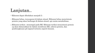 Lanjutan.. 
Ribosom dapat dibedakan menjadi 2 : 
1.Ribosom bebas, tersuspensi di dalam sitosol. Ribosom bebas menyintesis 
protein yang akan berfungsi di dalam sitosol, spt enzim metabolisme. 
2.Ribosom terikat : menempel pada RE. Ribosom terikat menyintesis protein 
yg akan dimasukkan ke dalam membrane RE, sekresi protein, dan 
pembungkusan pd organel tertentu seperti lisosom. 
 