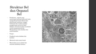Struktur Sel 
dan Organel 
Sel 
• Peroksisom : organel yang 
menyerupai kantong berbentuk bulat, 
mengandung butiran Kristal dan 
diselubungi membrane tunggal. 
Terbentuk dan tumbuh melalui 
penggabungan protein & lipid 
didalam sitosol kemuadian membelah 
untuk memperbanyak diri. 
Mengandung enzim oksidase dan 
enzim katalase. 
• Fungsi : 
1. Penghasil enzim oksidase dan 
katalase 
2. Memecah enzim asam lemak 
3. Menetralisir racun alcohol dan 
senyawa berbahaya lainnya. 
 
