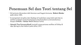 Penemuan Sel dan Teori tentang Sel 
• Sel pertama ditemukan oleh ilmuwan asal Inggris bernama Robert Hooke 
pada tahun 1665. 
• Ia mengamati sel gabus dari dinding sel tumbuhan yang telah mati dan ia 
melihat terdapat ruang kosong kecil yang kemudian ia menamakannya 
dengan Cellula = kamar kecil (Bahasa Latin) 
• Antonie Van Leeuwenhoek menjadi orang pertama melihat sel hidup di 
alga Spirogyra dan bakteri pada tahun 1674 
 