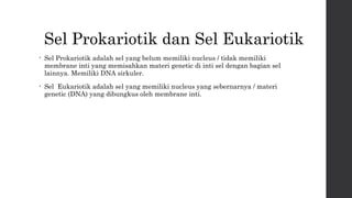 Sel Prokariotik dan Sel Eukariotik 
• Sel Prokariotik adalah sel yang belum memiliki nucleus / tidak memiliki 
membrane inti yang memisahkan materi genetic di inti sel dengan bagian sel 
lainnya. Memiliki DNA sirkuler. 
• Sel Eukariotik adalah sel yang memiliki nucleus yang sebernarnya / materi 
genetic (DNA) yang dibungkus oleh membrane inti. 
 