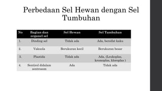 Perbedaan Sel Hewan dengan Sel 
Tumbuhan 
No Bagian dan 
organel sel 
Sel Hewan Sel Tumbuhan 
1. Dinding sel Tidak ada Ada, bersifat kaku 
2. Vakuola Berukuran kecil Berukuran besar 
3. Plastida Tidak ada Ada, (Leukoplas, 
kromoplas, kloroplas ) 
4. Sentirol didalam 
sentrosom 
Ada Tidak ada 
 