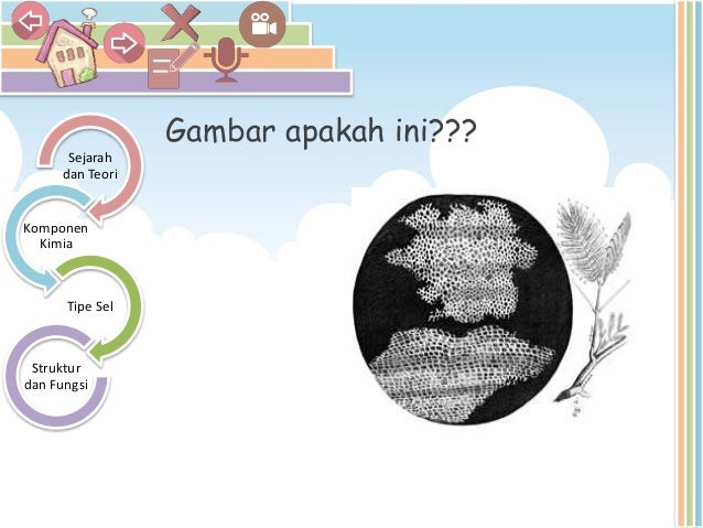 Powerpoint Multimedia Interaktif Sel