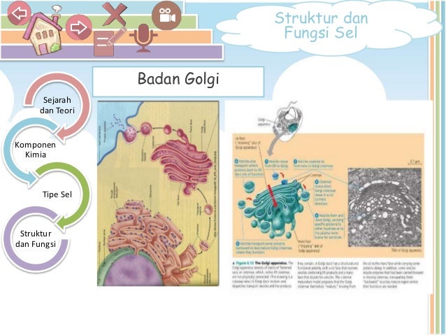 Powerpoint Multimedia Interaktif Sel