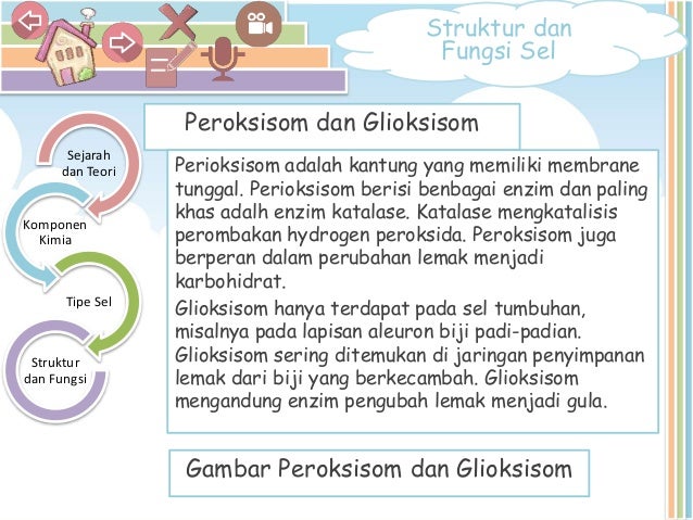 Powerpoint Multimedia Interaktif Sel