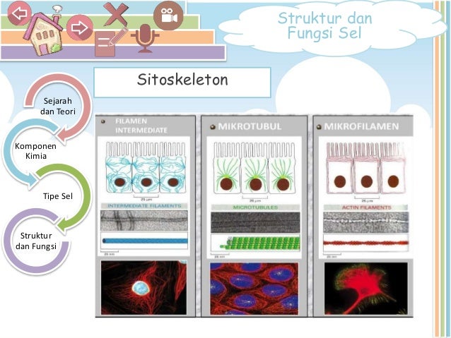 Powerpoint Multimedia Interaktif Sel