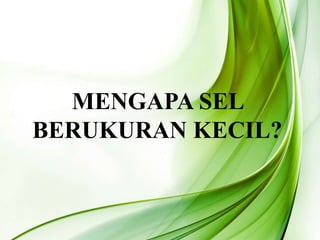 MENGAPA SEL
BERUKURAN KECIL?
 