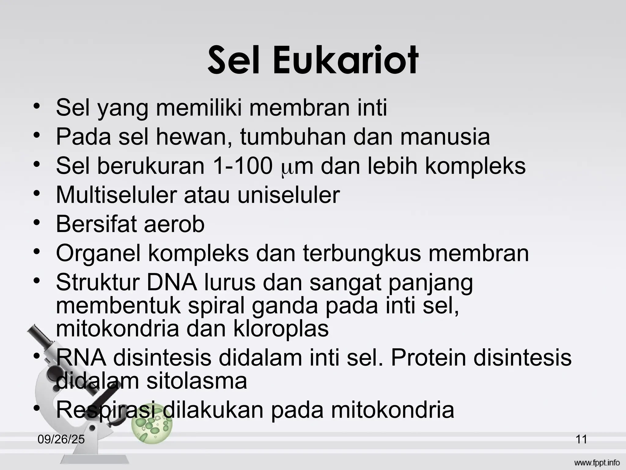 sel-hewan dan tumbuha 230410164817-00b53d50 (1).ppt