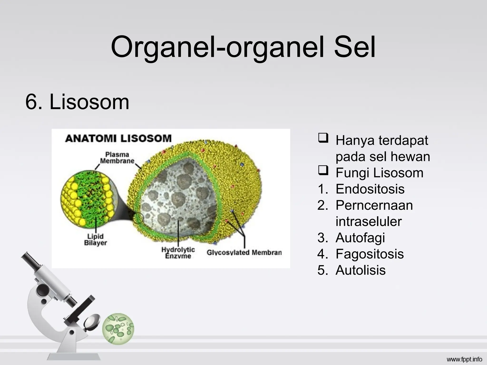 sel-hewan dan tumbuha 230410164817-00b53d50 (1).ppt