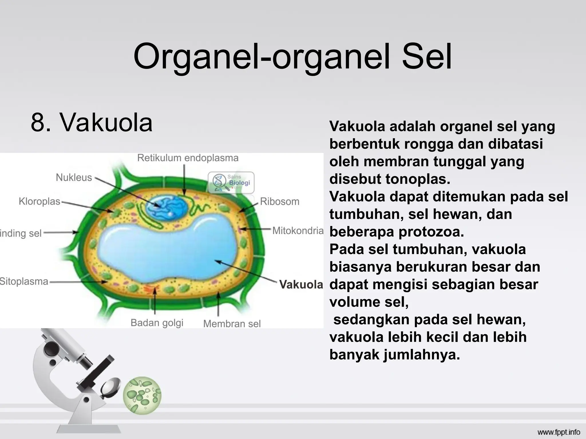 sel-hewan dan tumbuha 230410164817-00b53d50 (1).ppt
