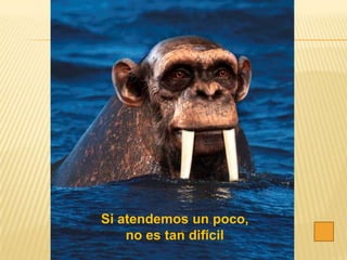 Si atendemos un poco,
    no es tan difícil
 