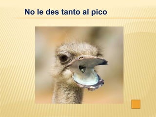 No le des tanto al pico
 