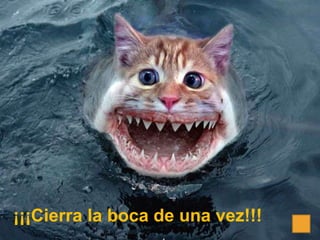 ¡¡¡Cierra la boca de una vez!!!
 