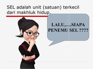 sel (2).pptx