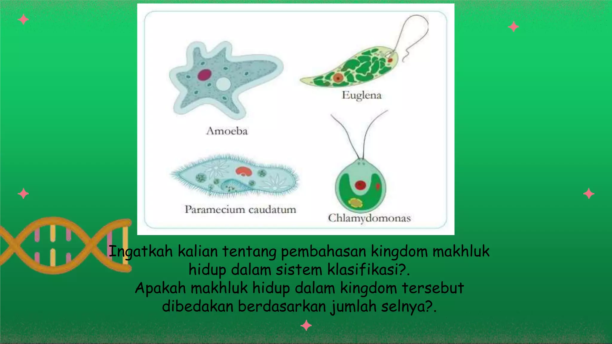 Ingatkah kalian tentang pembahasan kingdom makhluk
hidup dalam sistem klasifikasi?.
Apakah makhluk hidup dalam kingdom tersebut
dibedakan berdasarkan jumlah selnya?.