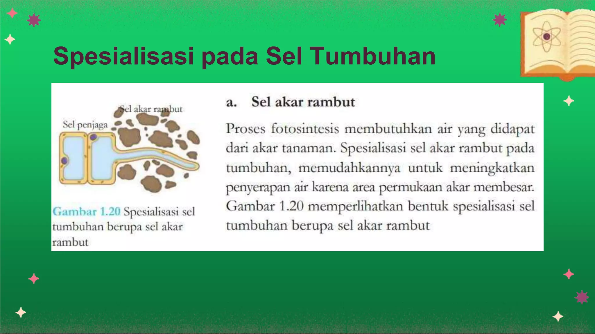 Spesialisasi pada Sel Tumbuhan