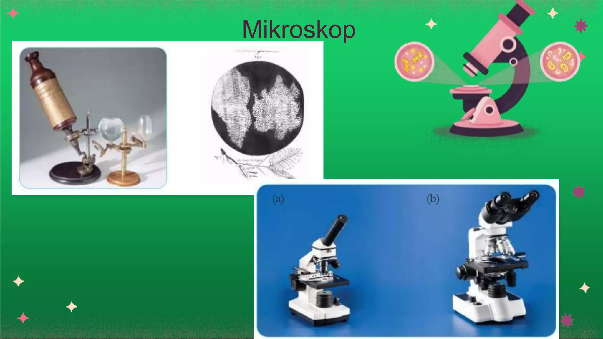 Mikroskop