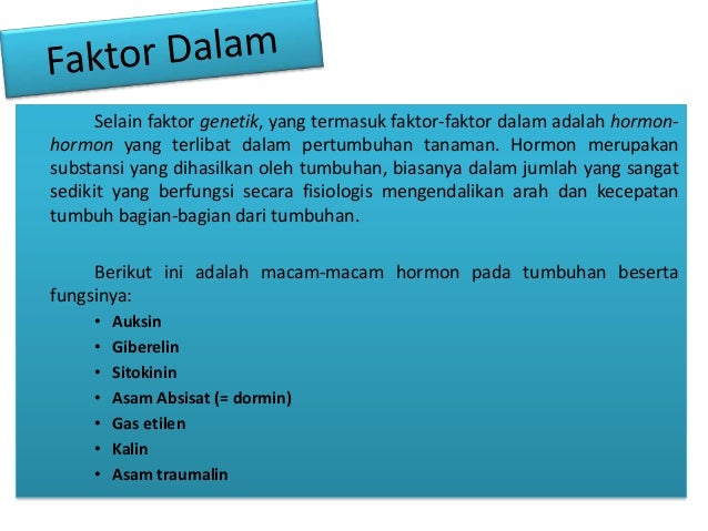 Pengaruh Kompos pada Selada
