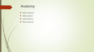 Anatomy
 Stem anatomy
 Steler system
 Leaf anatomy
 Root anatomy
 