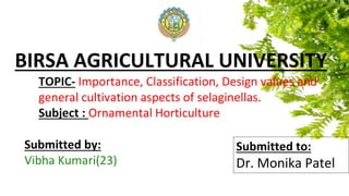 BIRSA AGRICULTURAL UNIVERSITY
TOPIC- Importance, Classification, Design values and
general cultivation aspects of selaginellas.
Subject : Ornamental Horticulture
Submitted to:
Dr. Monika Patel
Submitted by:
Vibha Kumari(23)
 