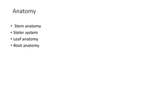 Anatomy
• Stem anatomy
• Steler system
• Leaf anatomy
• Root anatomy
 