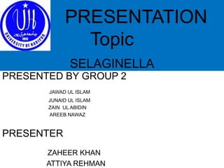 Topic
SELAGINELLA
PRESENTATION
PRESENTED BY GROUP 2
JAWAD UL ISLAM
JUNAID UL ISLAM
ZAIN UL ABIDIN
AREEB NAWAZ
PRESENTER
ZAHEER KHAN
ATTIYA REHMAN
 
