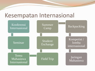 Kesempatan Internasional