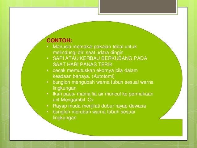 Selamatkan makhluk hidup(1) Selamatkan makhluk hidup(1)