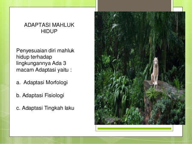 Selamatkan makhluk hidup(1)