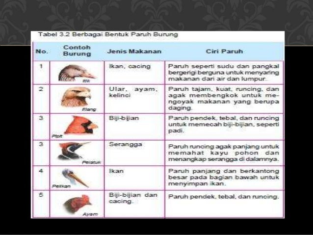 Selamatkan makhluk hidup(1)