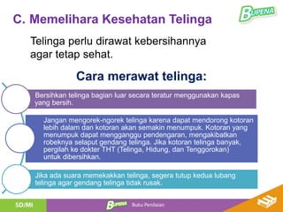 C. Memelihara Kesehatan Telinga
Telinga perlu dirawat kebersihannya
agar tetap sehat.
Bersihkan telinga bagian luar secara teratur menggunakan kapas
yang bersih.
Jangan mengorek-ngorek telinga karena dapat mendorong kotoran
lebih dalam dan kotoran akan semakin menumpuk. Kotoran yang
menumpuk dapat mengganggu pendengaran, mengakibatkan
robeknya selaput gendang telinga. Jika kotoran telinga banyak,
pergilah ke dokter THT (Telinga, Hidung, dan Tenggorokan)
untuk dibersihkan.
Jika ada suara memekakkan telinga, segera tutup kedua lubang
telinga agar gendang telinga tidak rusak.
Cara merawat telinga:
 